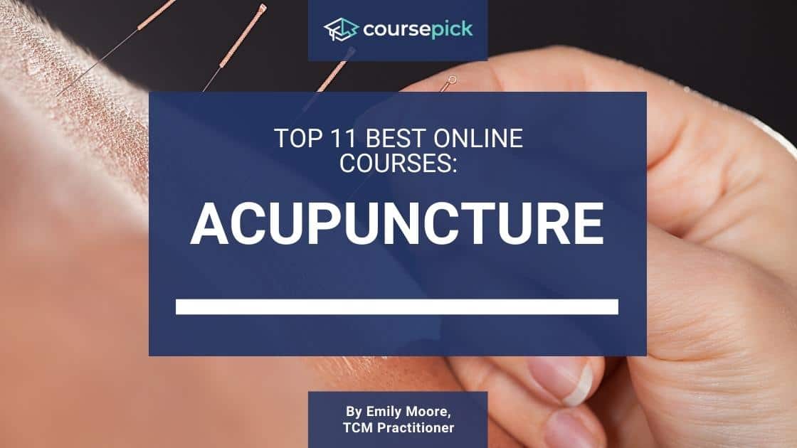 Top 11 Best Acupuncture Courses (Online)