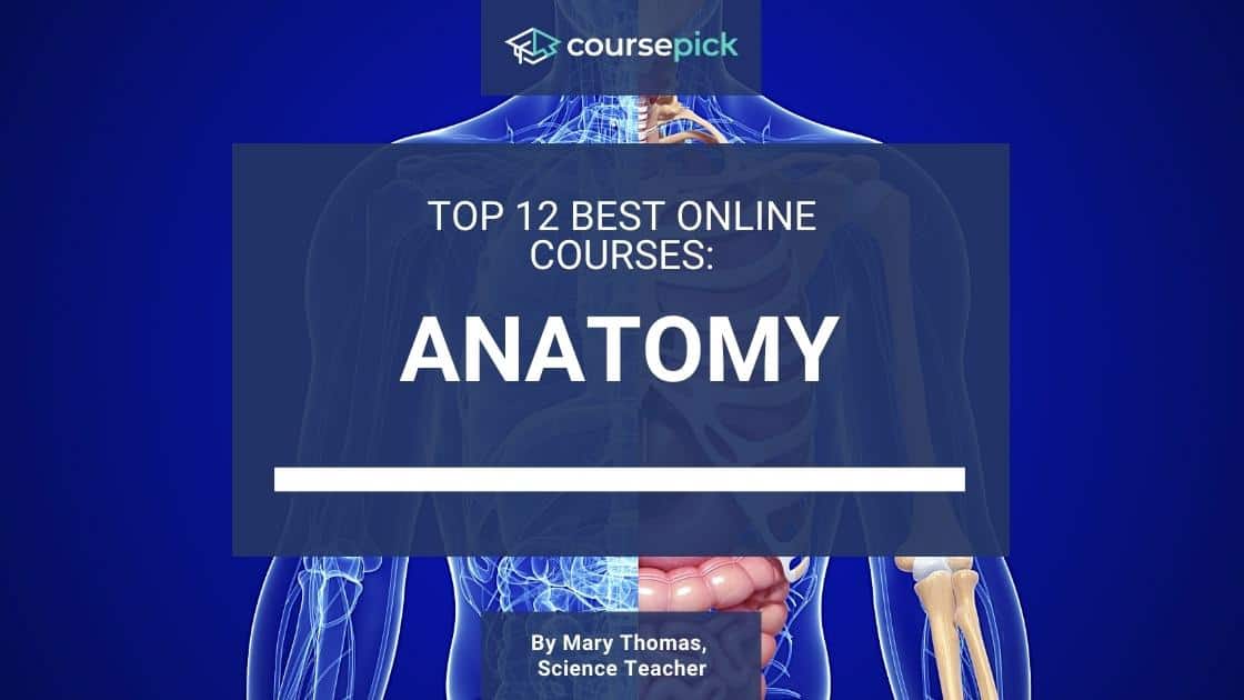 Top 12 Best Anatomy Courses (Online)