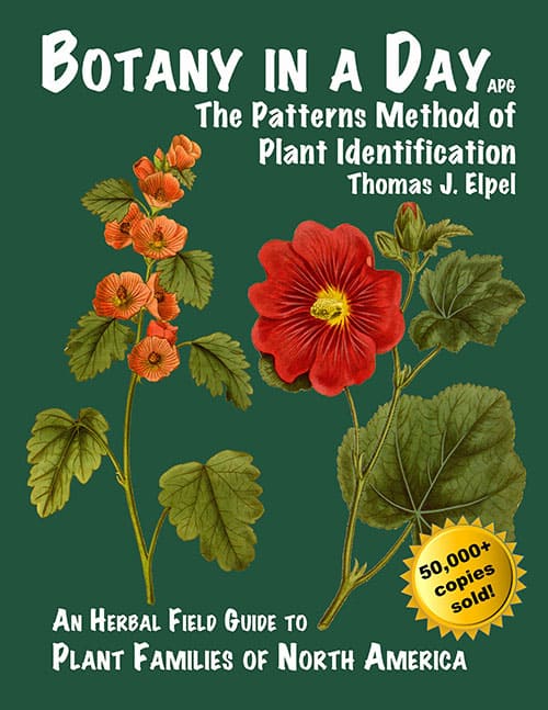 botany in a day book cover