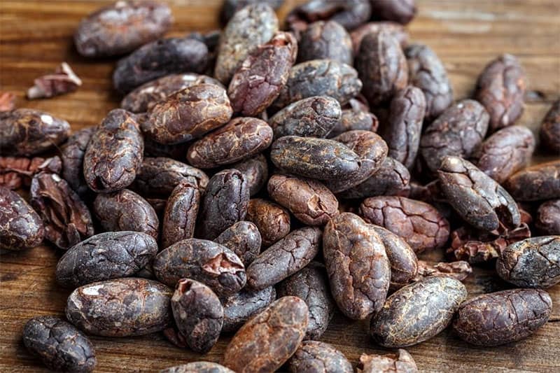 cacao beans