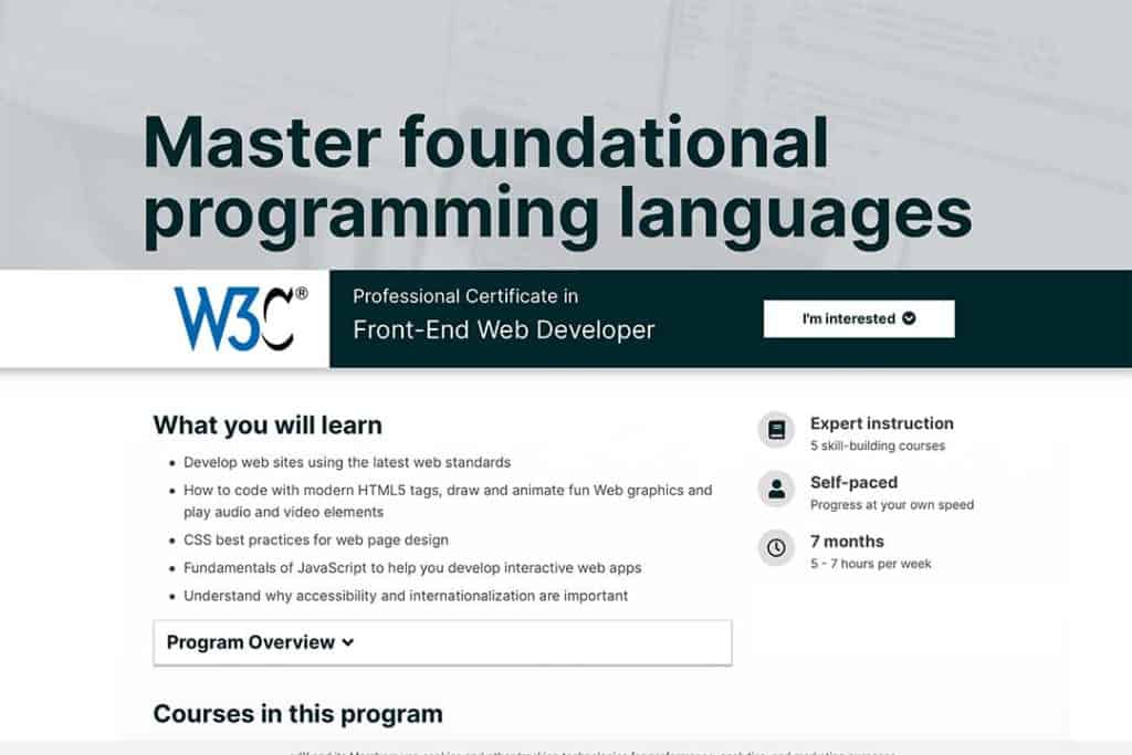 master foundational programming languages