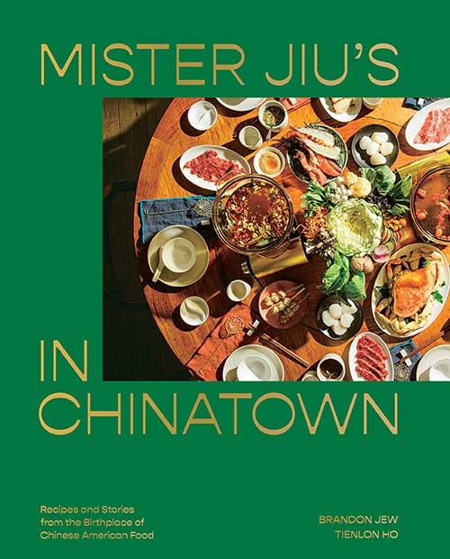 mister jiu in chinatown book cover